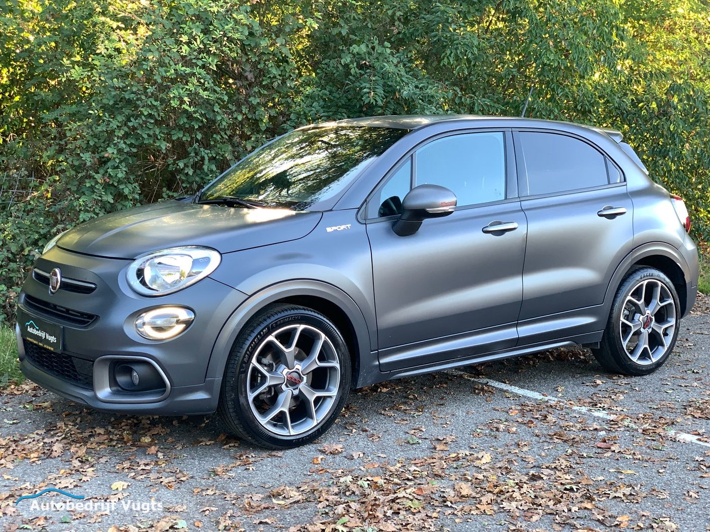 Fiat_500X(mat).jpg0002.JPG